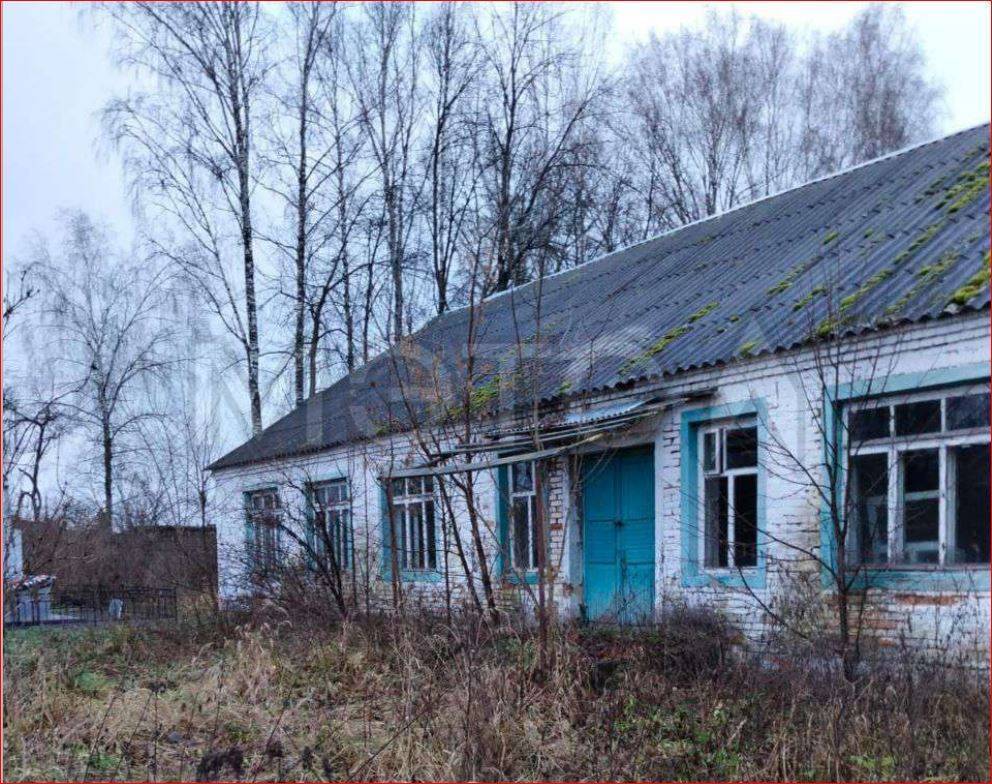 Здание в Брянской обл., 262,3 кв.м.