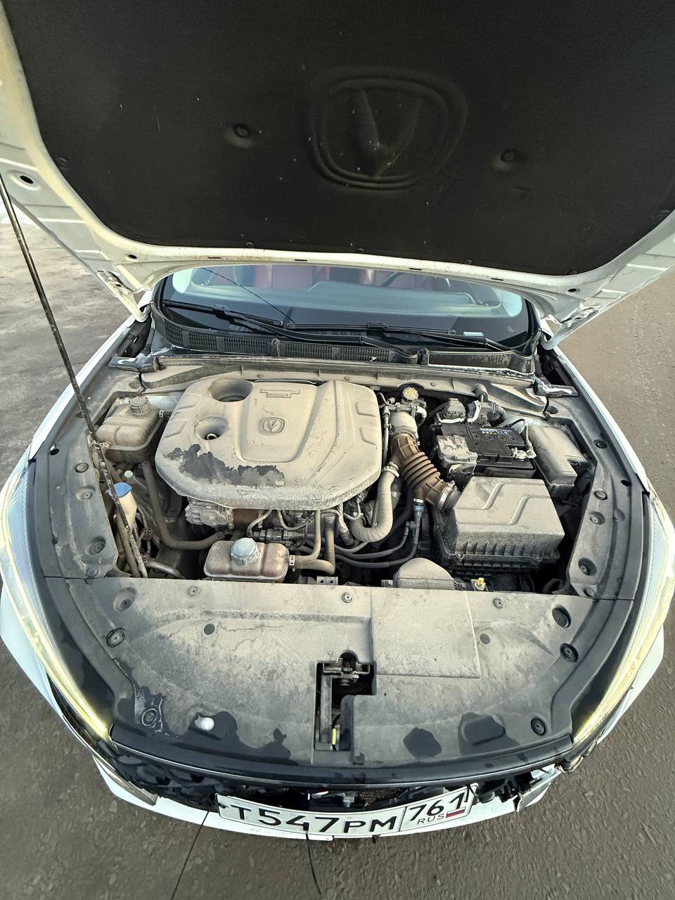 Changan Eado Plus, 2023 года, 155 лс, 72937 км, АКПП