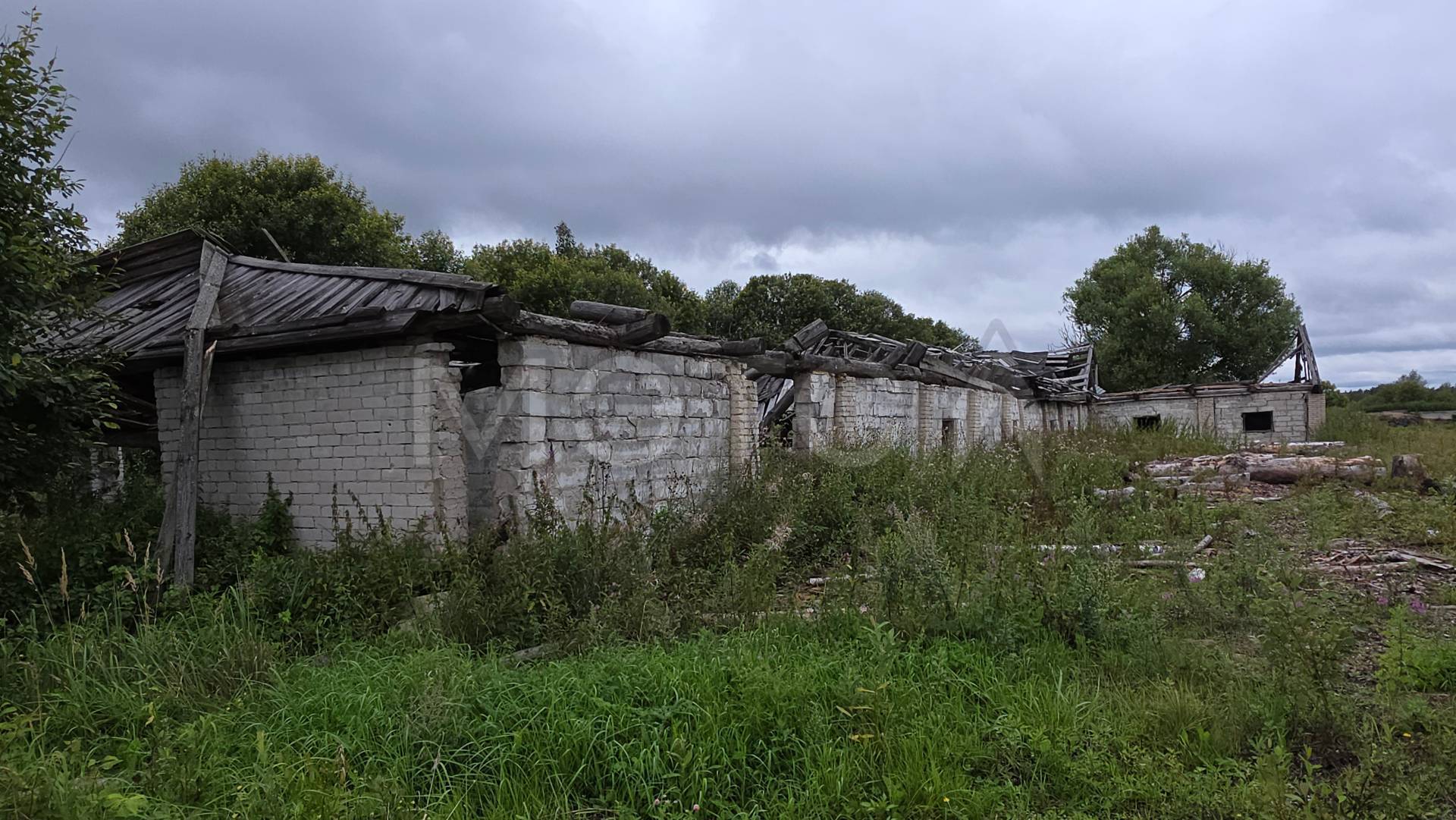 Коровник в Тверской обл., 1056 кв.м