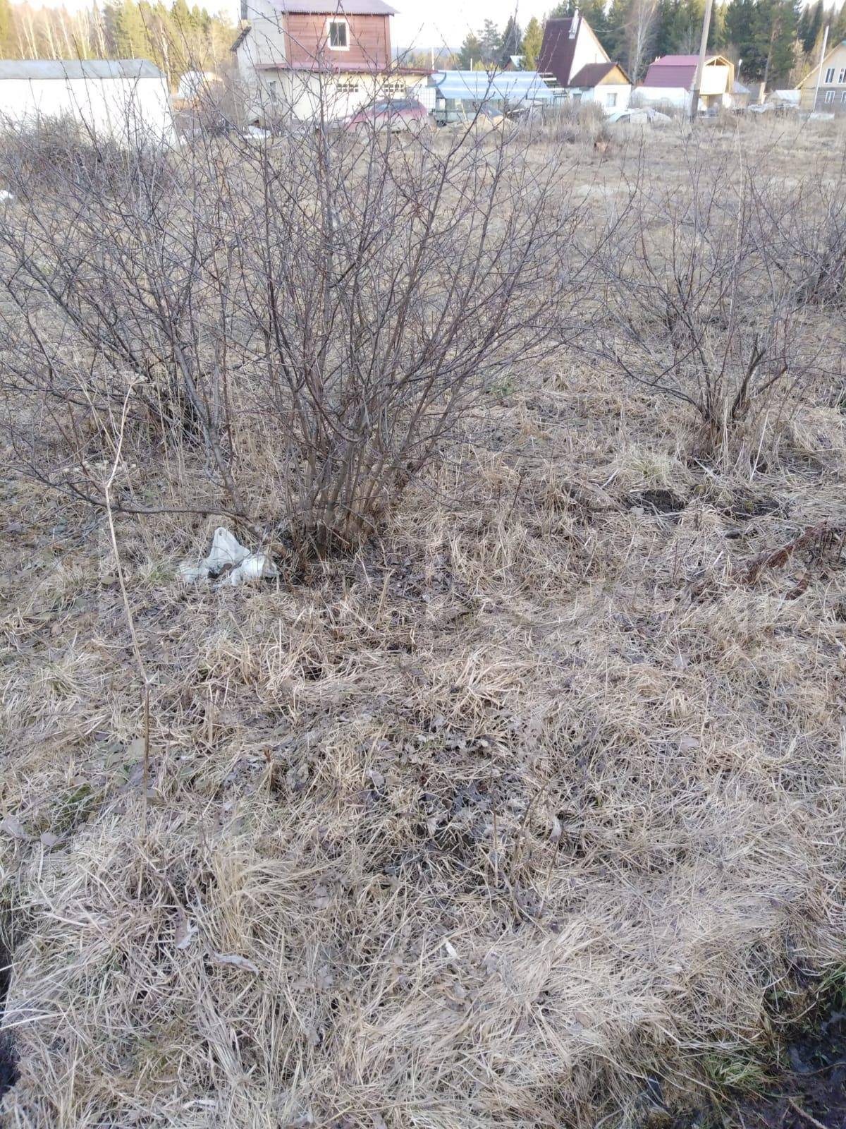 Земельный участок в Свердловской обл., 807 кв.м.