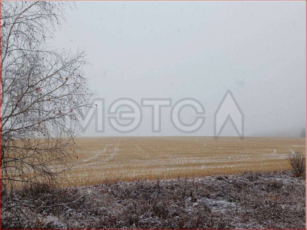 1/12 доля земельного участка в Курганской обл.