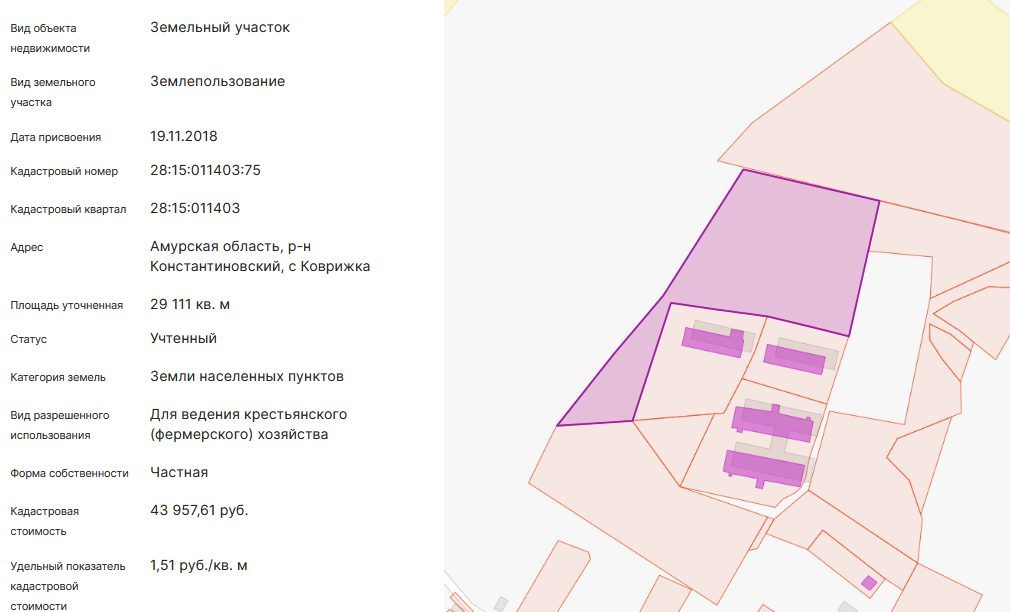 1/3 доля земельного участка в Амурской обл.