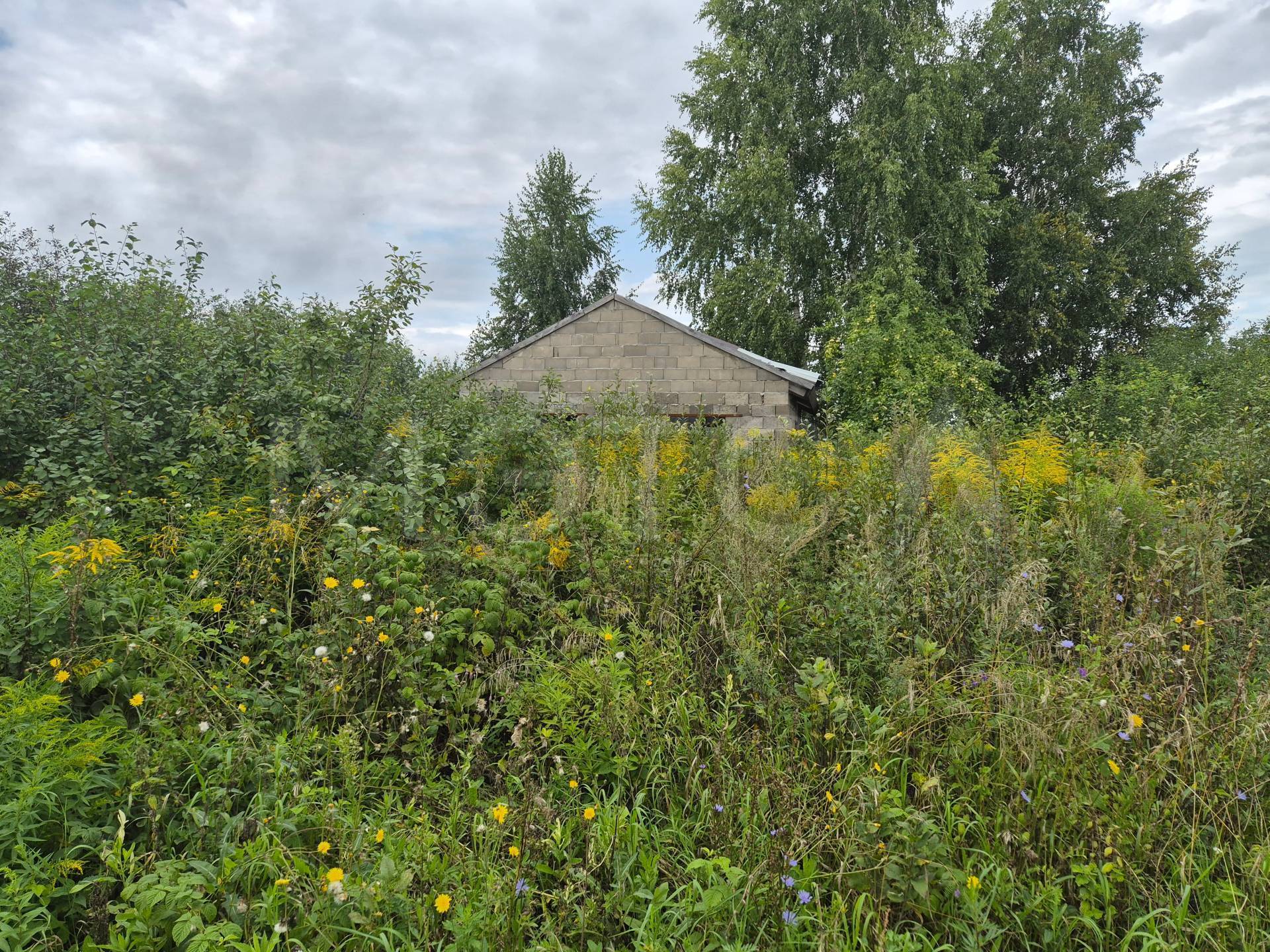 Земельный участок в Башкортостане, 536+/-203 кв.м.