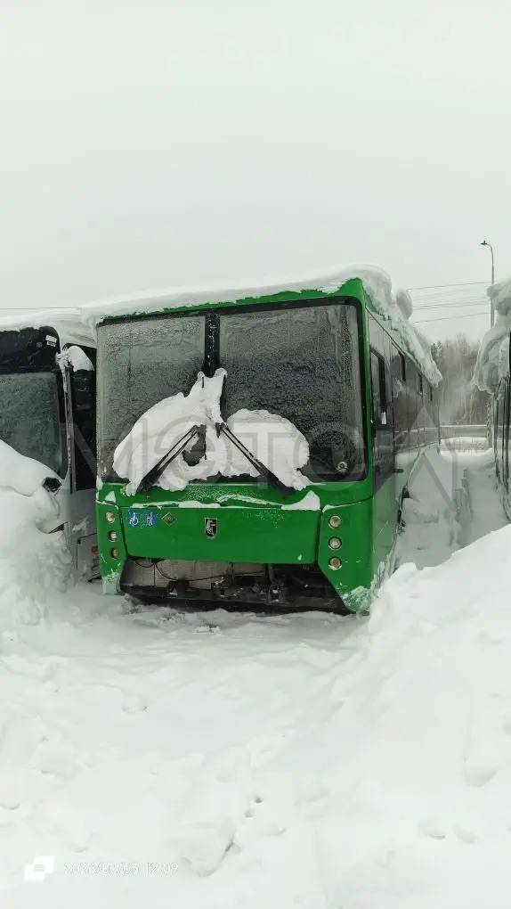 Автобус НЕФАЗ 5299-0000030-51, 2017 года