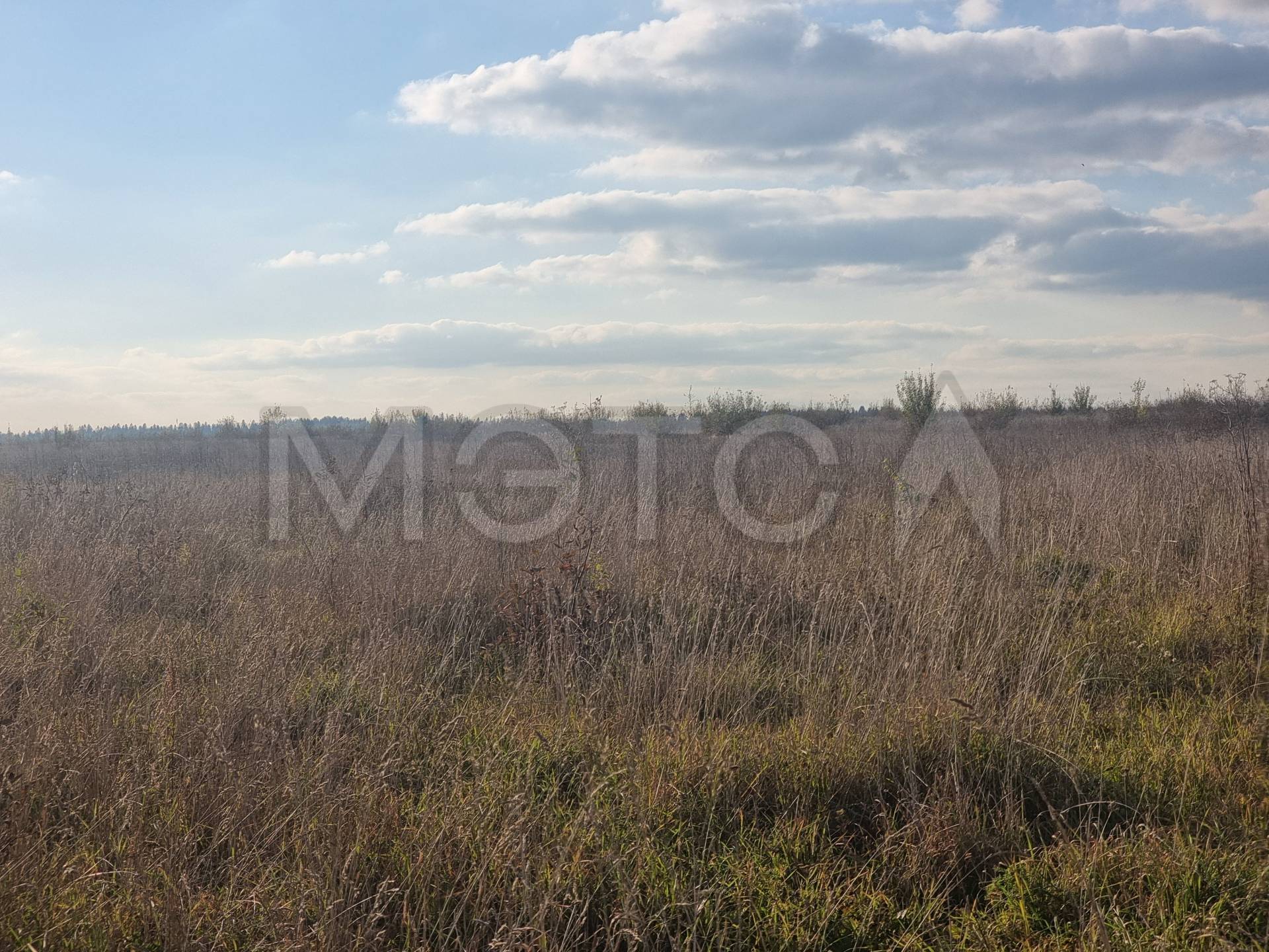 Земельный участок в Московской обл., 797 кв.м.