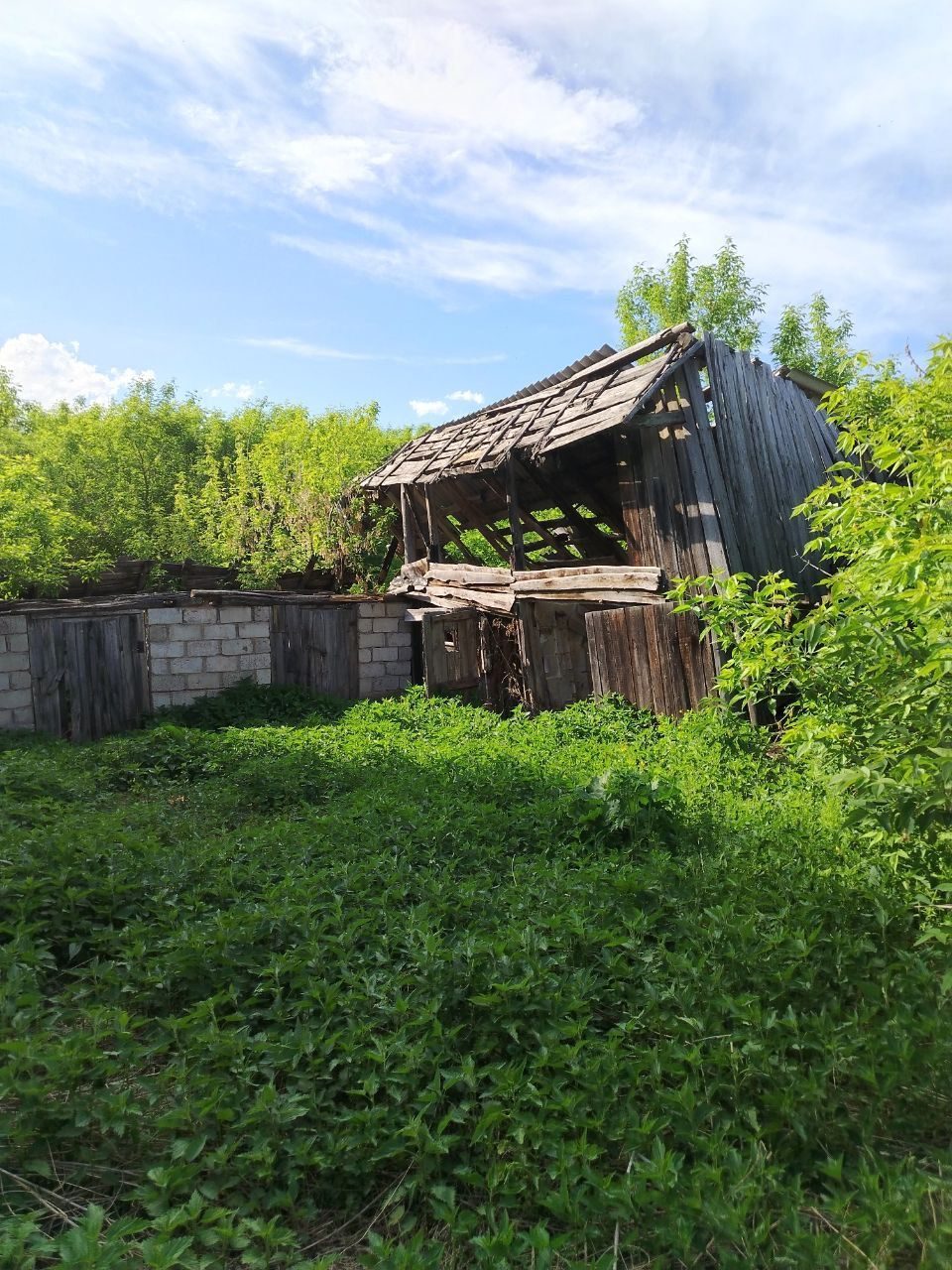Дом 34,9 кв.м. и земельный участок 2300 кв.м. в Татарстане
