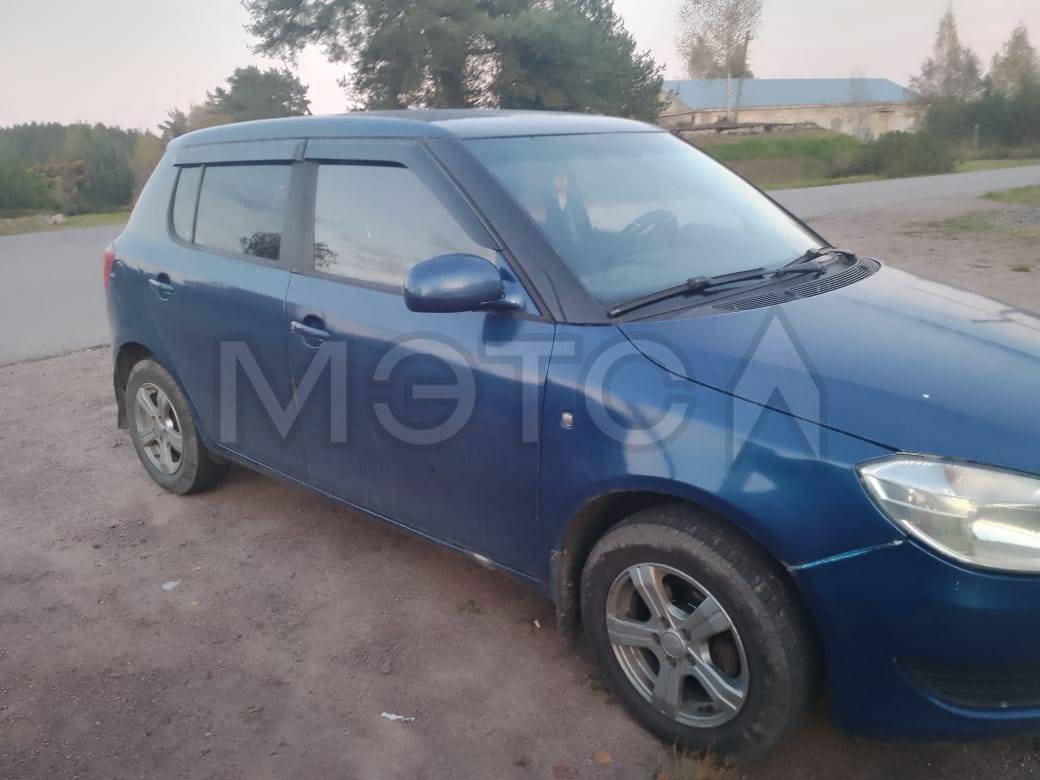 Skoda Fabia, 2010 года, 60 лс, 161375 км