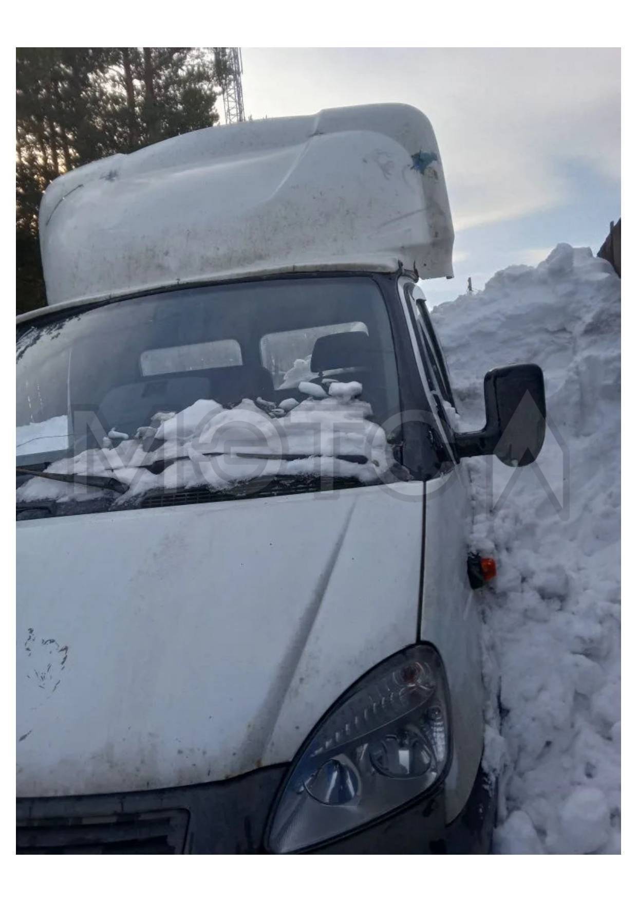 ГАЗ 172424, 2013 года