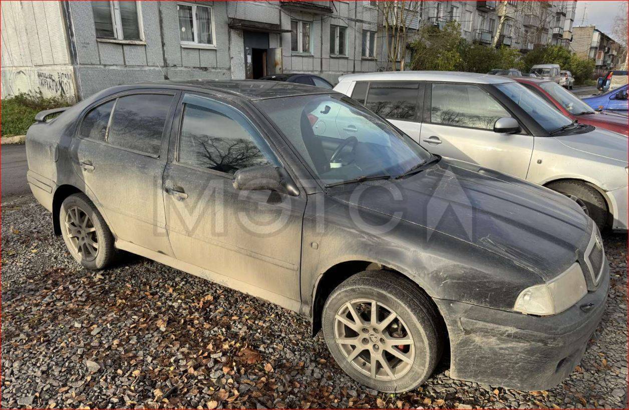 Skoda Octavia, 2009 года, 102 лс, 340000 км