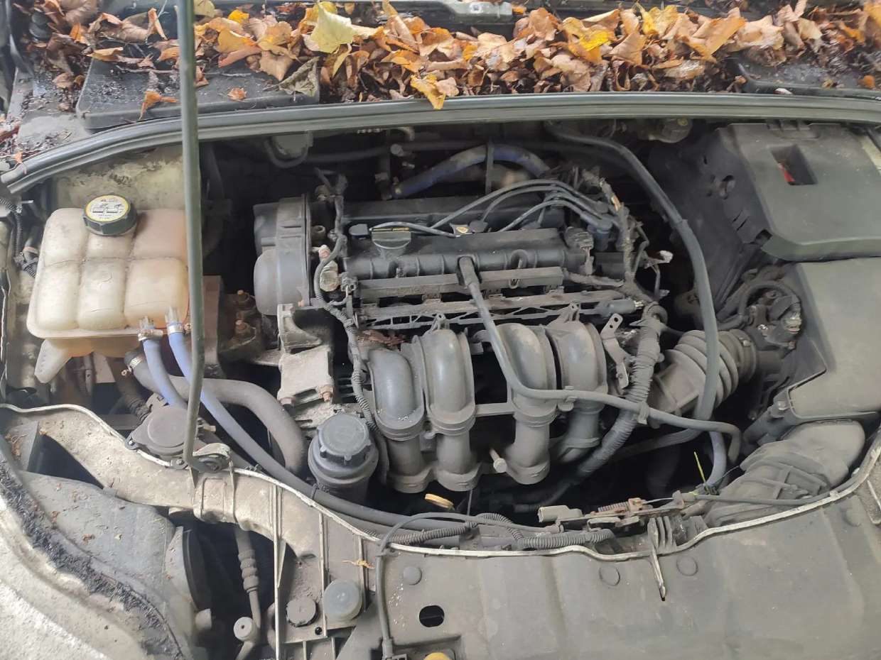 Ford Focus, 2013 года, 104 лс