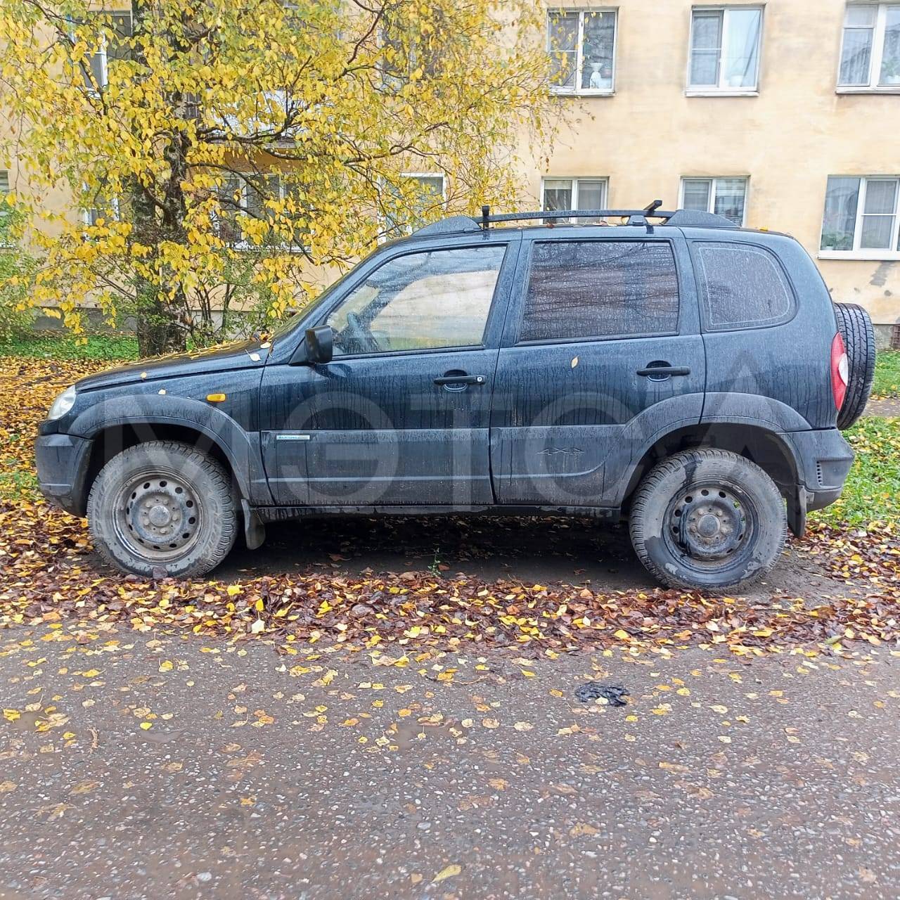 Chevrolet Niva, 2009 года, 80 лс, 333000 км, полный привод