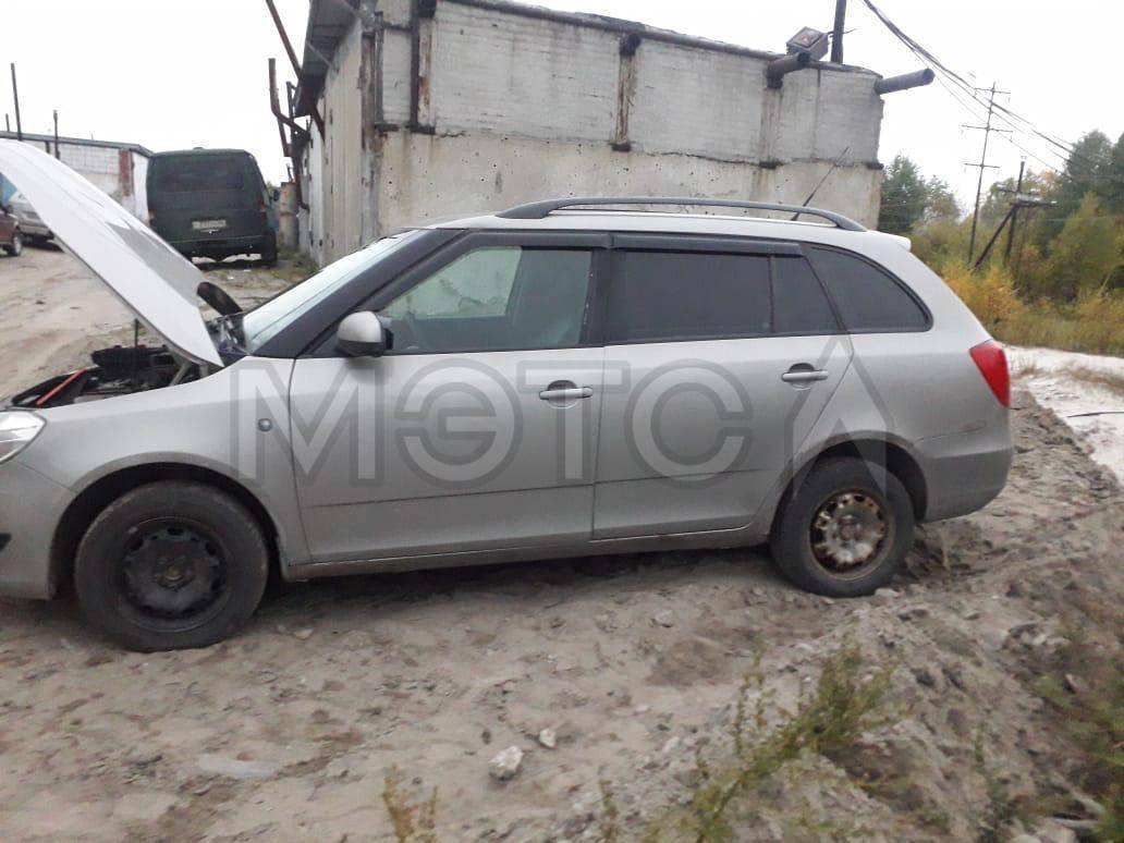 Skoda Fabia, 2010 года, 86 лс, 306283 км