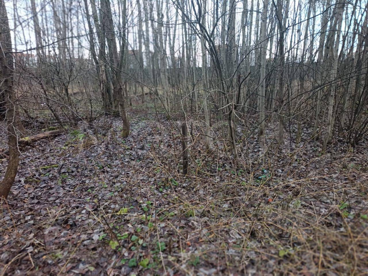 Земельный участок в Московской обл., 564+/-8 кв.м.
