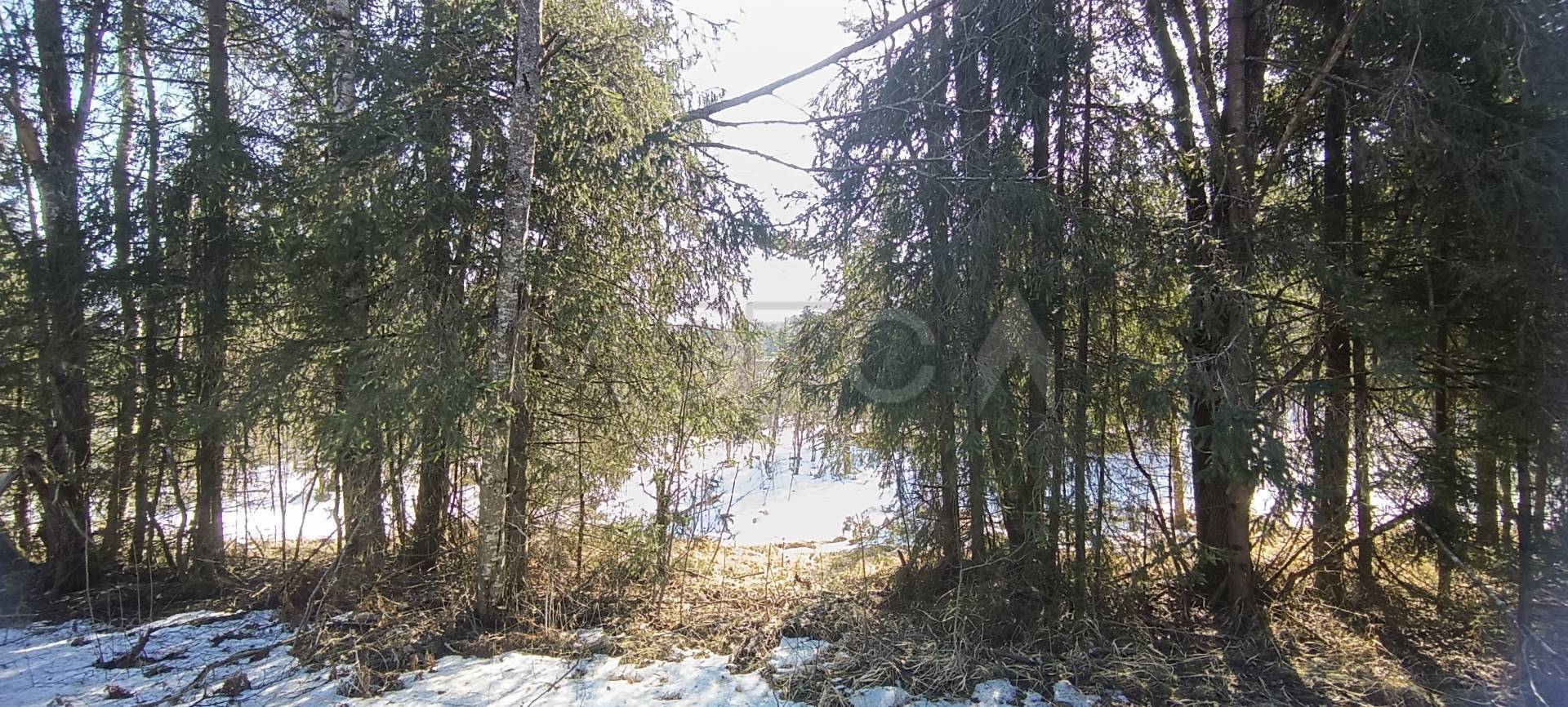 Земельный участок в Новгородской обл., 10000 кв.м.