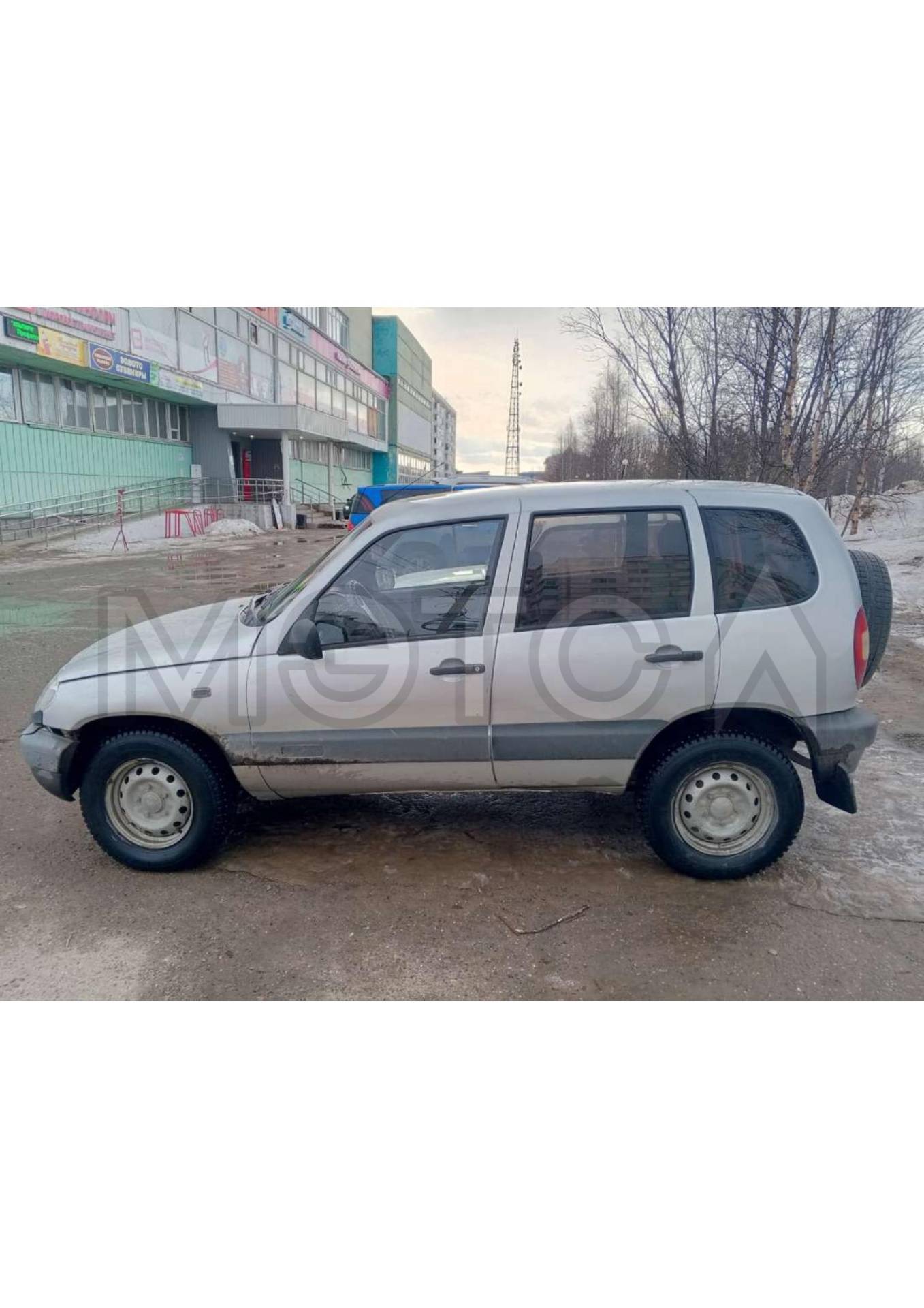 Chevrolet Niva, 2003 года, 79 лс, 170196 км, полный привод