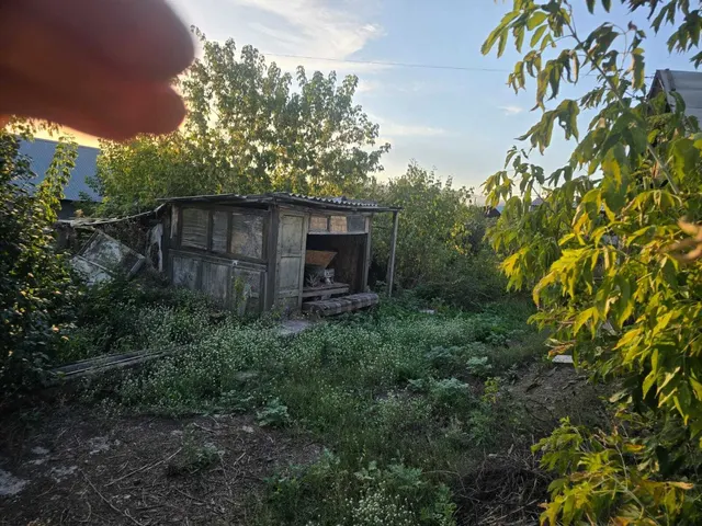 1/2 доля земельного участка и 1/2 доля здания в Оренбургской обл.