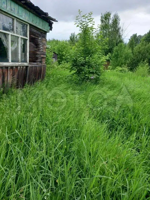 Дом 15,6 кв.м. и земельный участок 1200 кв.м. в Пермском крае