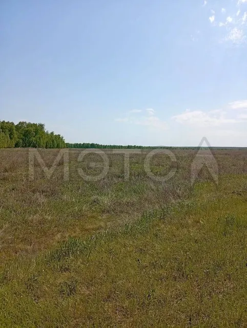 Земельный участок в Курганской обл., 260000 кв.м.