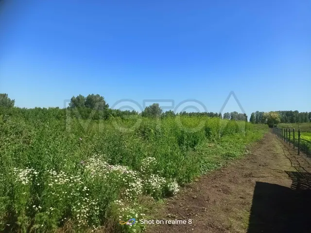 Дом 35,3 кв.м. и земельный участок 3982 кв.м. в Башкортостане