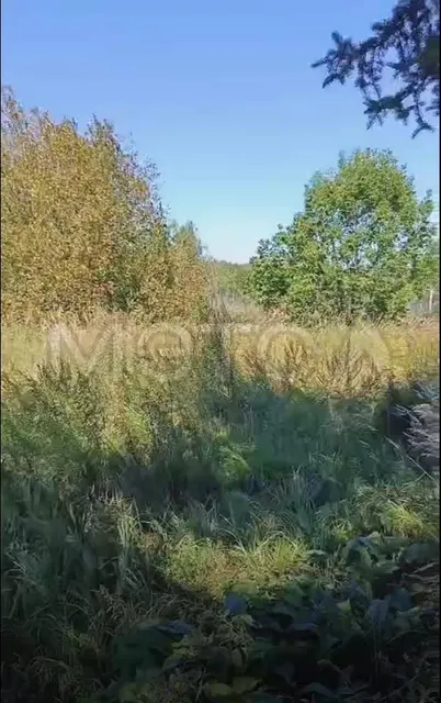 Дом 52,7 кв.м. и земельный участок 3000 кв.м. в Хабаровском крае