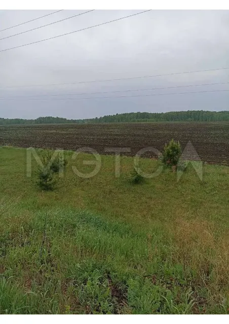 2/12 доли земельного участка в Курганской обл.
