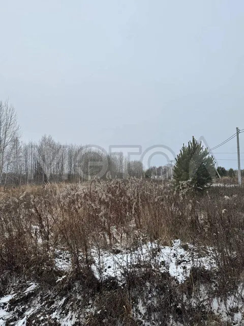 Земельный участок в Тюменской обл., 1306 кв.м.