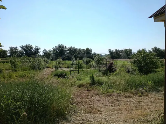 Дом 33,8 кв.м. и земельный участок 4100 кв.м. в Тамбовской обл.