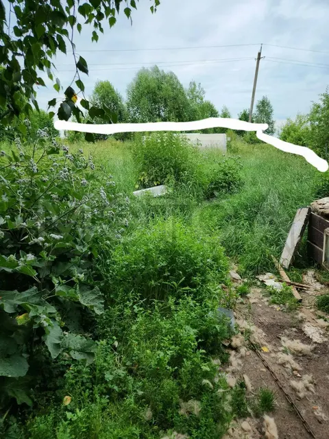 Земельный участок в Тверской обл., 1000 кв.м.