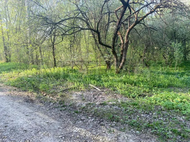 Земельный участок в Брянске, 523 +/- 8 кв.м