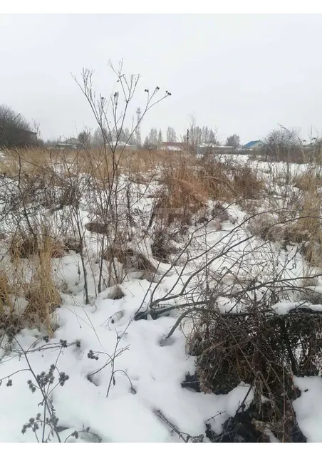 Земельный участок в Нижегородской обл., 710 кв.м.