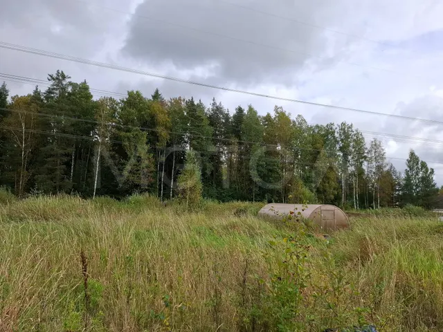 1/2 доля земельного участка в Ленинградской обл.