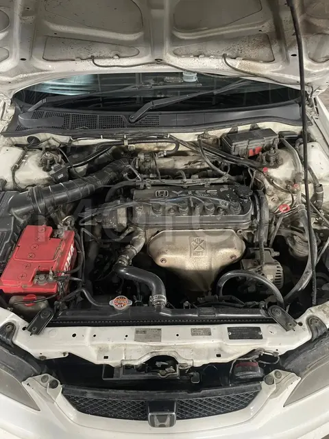 Isuzu Aska, 2001 года, 140 лс, 300000 км, АКПП