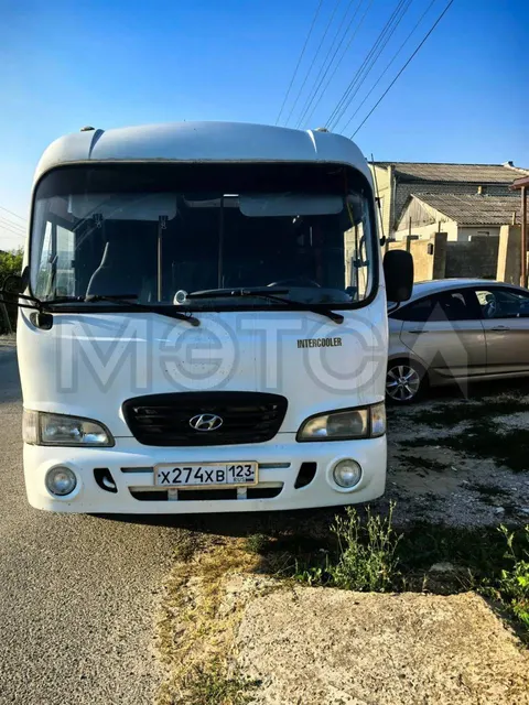 ХЕНДЭ HD LWB COUNTY, 2010 года