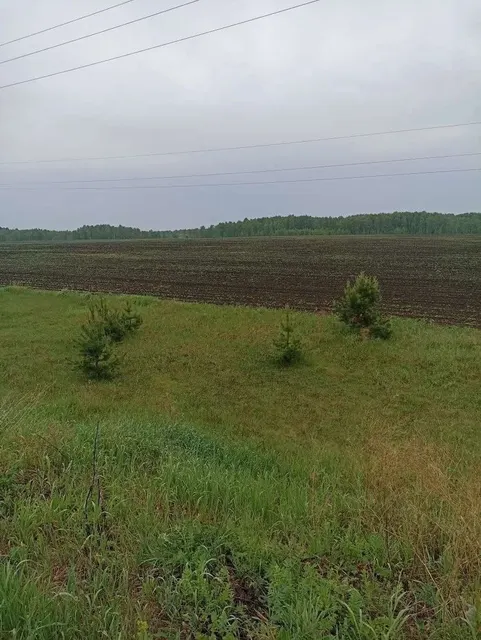 2/12 доли земельного участка в Курганской обл.