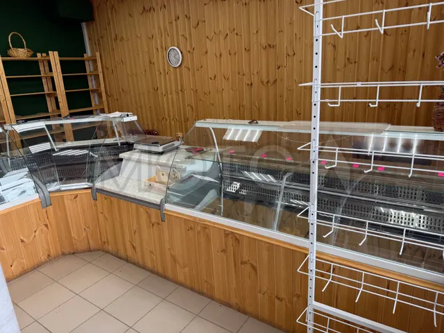 Здание 79,1 кв.м. и земельный участок 869 кв.м. в Алтайском крае