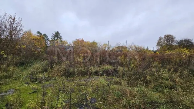 Земельный участок в Курской обл., 3335 кв.м.