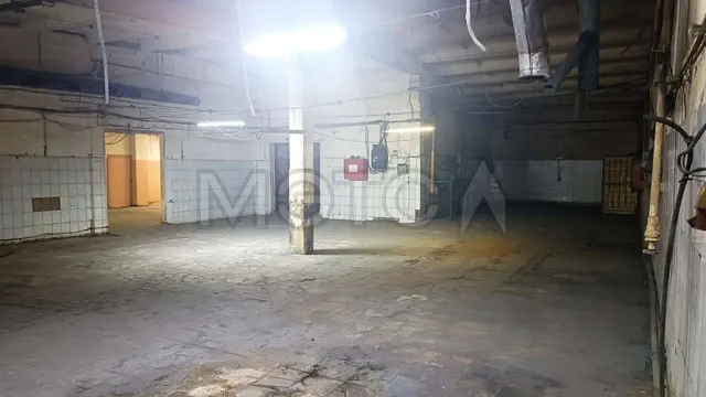 Здание 594,8 кв.м, помещение 793,6 кв.м. и земельный участок 1930+/-9.18 кв.м. в Пензе