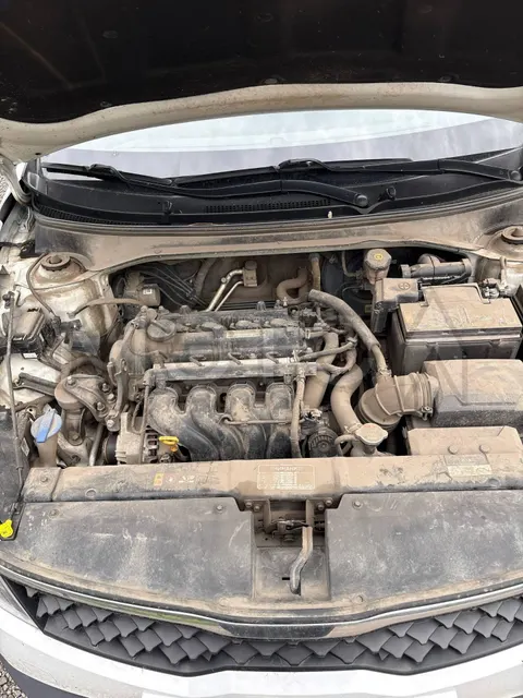 Kia Rio, 2021 года, 123 лс, 213000 км, АКПП