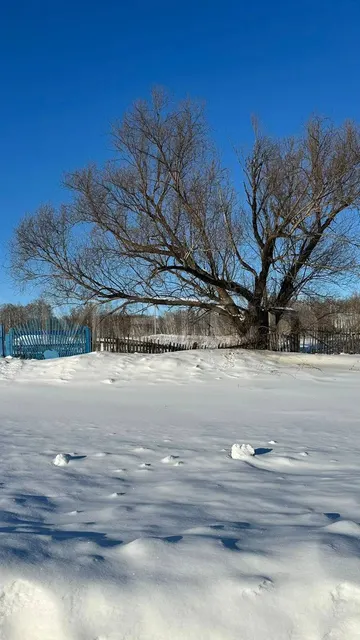 Земельный участок в Новосибирской обл., 321 кв.м.