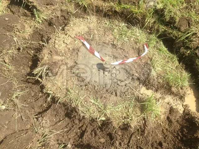 Земельный участок в Ленинградской обл., 70000 кв.м.