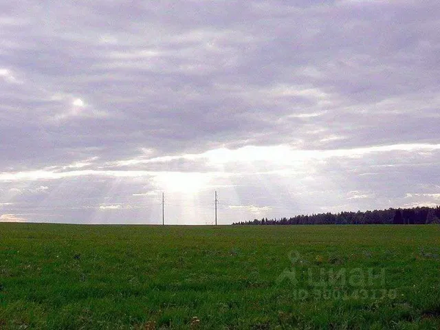 2/11 доли земельного участка в Удмуртии