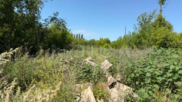 Земельный участок в Воронежской обл., 4701 кв.м.
