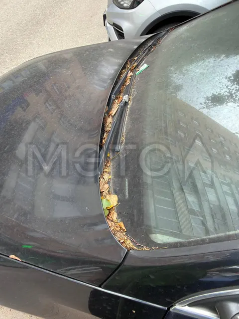 Volkswagen Passat, 2007 года, 150 лс