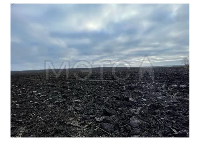 1/1120 доля земельного участка в Воронежской обл.