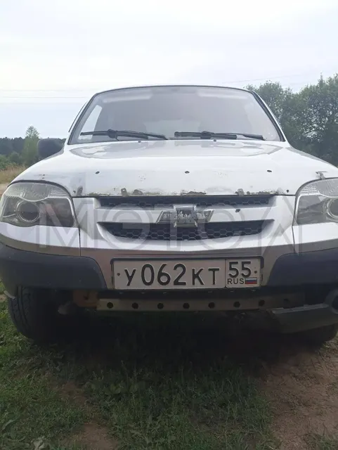 Chevrolet Niva, 2011 года, 79,6 лс, 116294 км