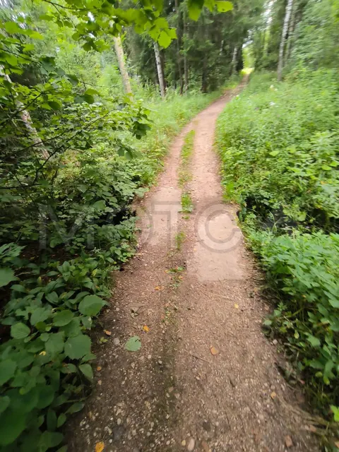1/4 доля земельного участка в Московской обл.