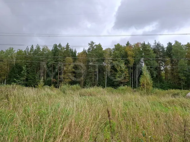 1/2 доля земельного участка в Ленинградской обл.