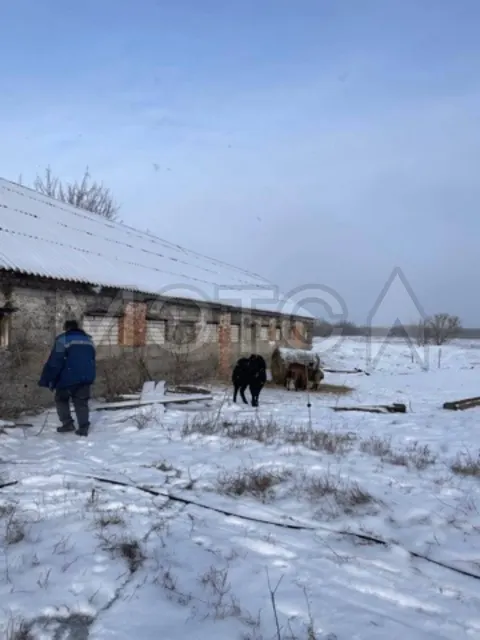 Доли зданий и 1/3 доля земельного участка в Воронежской обл.