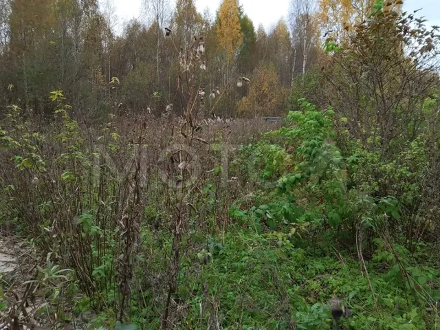 588/532827 доля земельного участка в Кирове