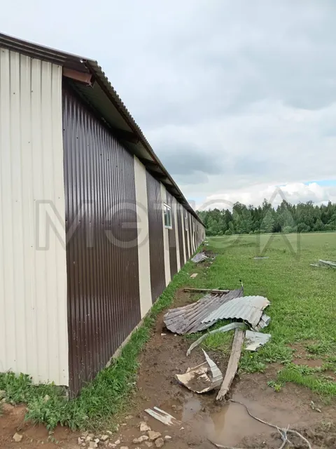 Коровник на 150 голов (строительные материалы, собранные в конструкцию)